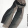 Shaded Ombre Premium Scarf Black Dark Beige 13 Linen